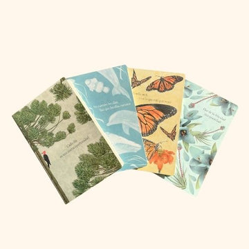 Papelterapia desde 50% OFF